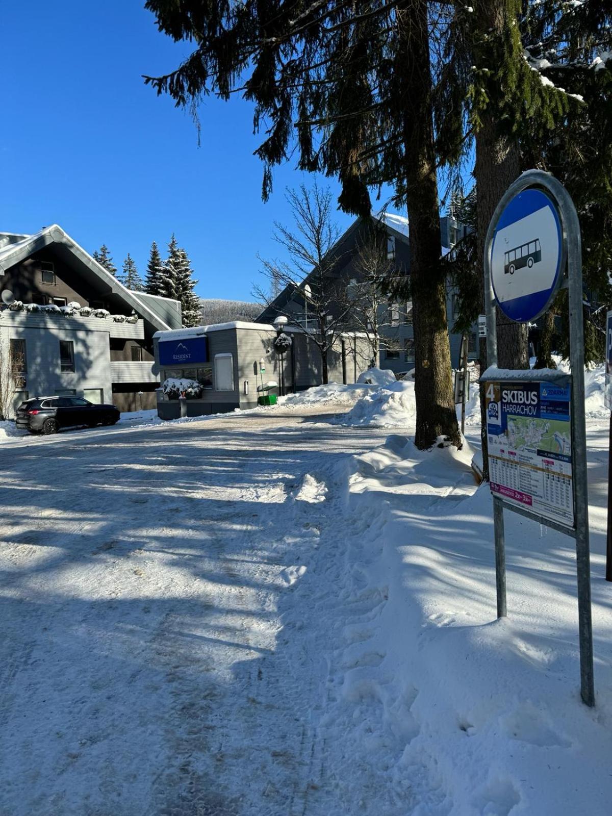 Spirit Harrachov Superior Wellness Apartments - Free Wellness, Wifi, Parking, Harrachov Card Buitenkant foto