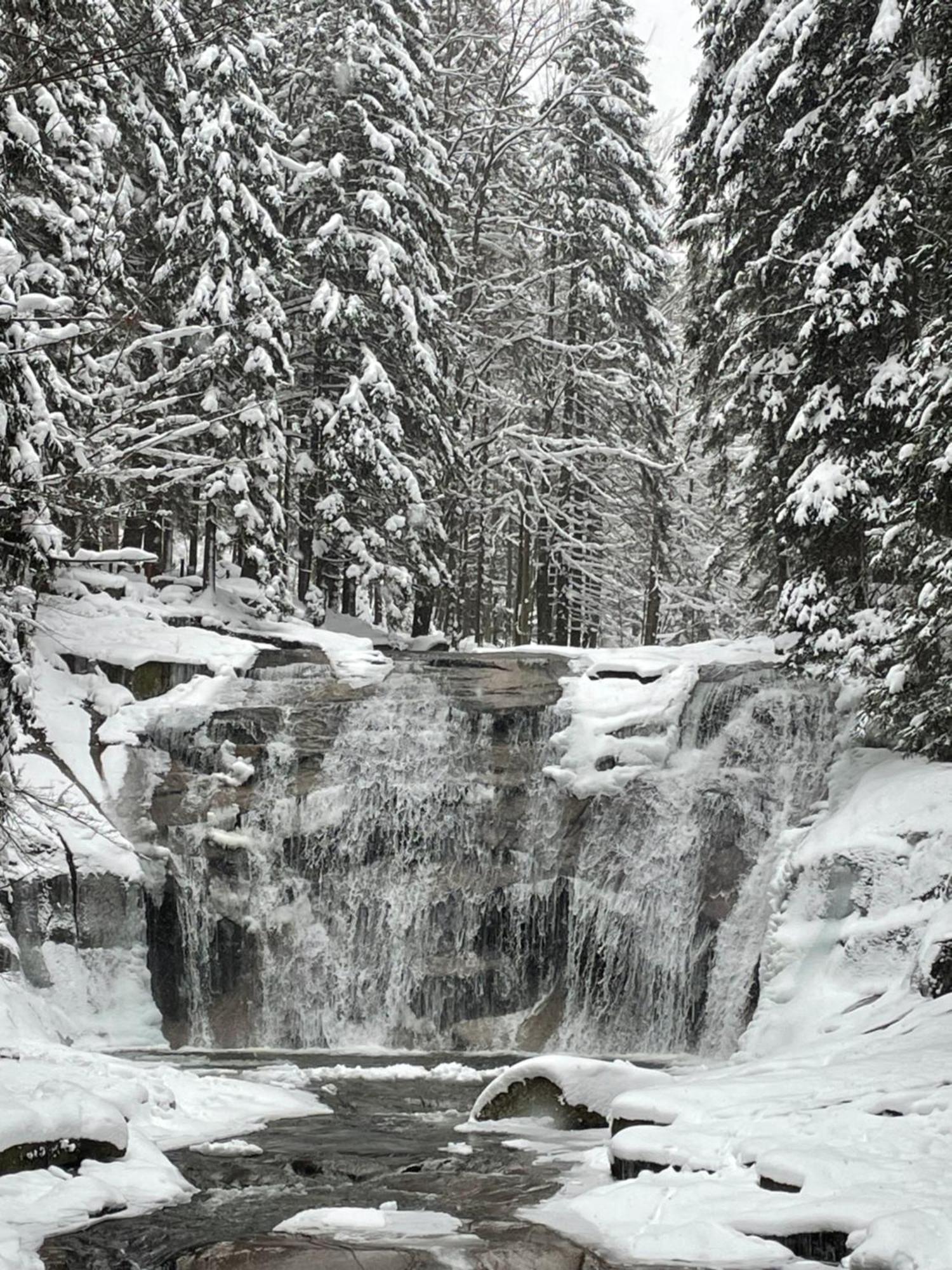 Spirit Harrachov Superior Wellness Apartments - Free Wellness, Wifi, Parking, Harrachov Card Buitenkant foto