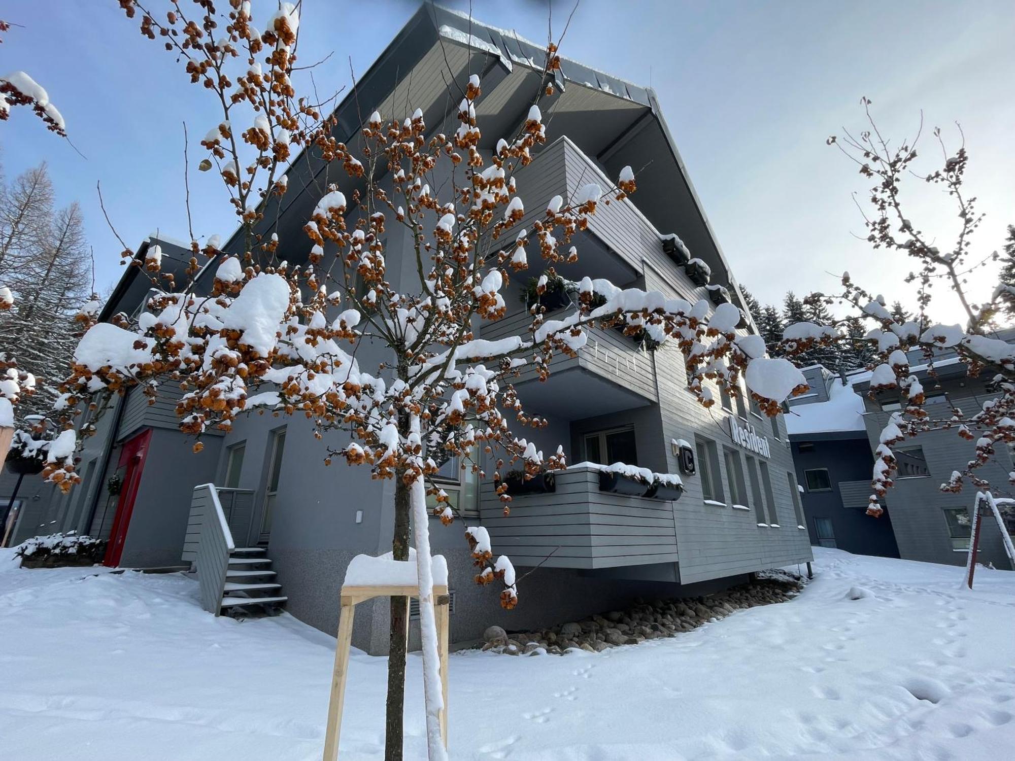 Spirit Harrachov Superior Wellness Apartments - Free Wellness, Wifi, Parking, Harrachov Card Buitenkant foto