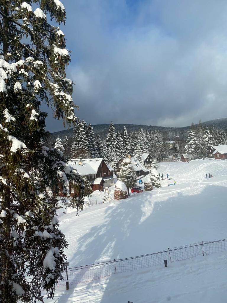 Spirit Harrachov Superior Wellness Apartments - Free Wellness, Wifi, Parking, Harrachov Card Buitenkant foto