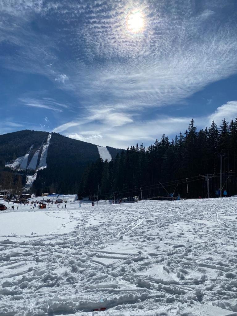 Spirit Harrachov Superior Wellness Apartments - Free Wellness, Wifi, Parking, Harrachov Card Buitenkant foto