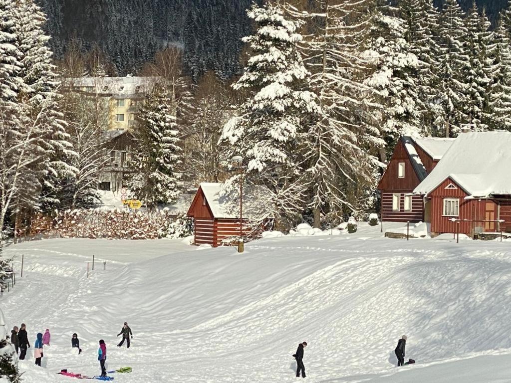 Spirit Harrachov Superior Wellness Apartments - Free Wellness, Wifi, Parking, Harrachov Card Buitenkant foto
